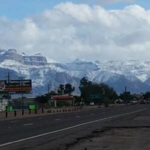 Meet your Posher, Sissy